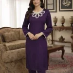 TT - 00035 Latest Article New Design 2 Piece Ladies Suit